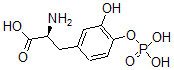 CAS#: 101141-95-1， Dopa 4-Phosphate