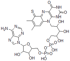 CAS#: 101760-90-1， [5-(6-Aminopurin-9-Yl)-3,4-Dihydroxyoxolan-2-Yl]Methyl [[5-(7,8-Dimethyl-2,4-Dioxo-6-Sulfanylidene-1H-Benzo[g]Pteridin-10-Yl)-2,3,4-Trihydroxypentoxy]-Hydroxyphosphoryl] Hydrogen Phosphate