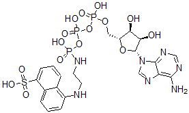 CAS#: 102415-55-4， 5-[2-[[[[[(2R,3S,4R,5R)-5-(6-Aminopurin-9-Yl)-3,4-Dihydroxyoxolan-2-Yl]Methoxy-Hydroxyphosphoryl]Oxy-Hydroxyphosphoryl]Oxy-Hydroxyphosphoryl]Amino]Ethylamino]Naphthalene-1-Sulfonic Acid