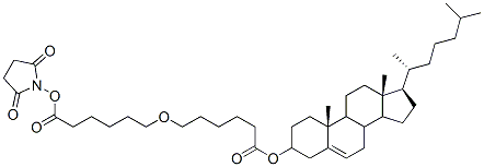 CAS#: 103003-22-1， (2,5-Dioxopyrrolidin-1-Yl) 6-[[(3S,10R,13R,17R)-10,13-Dimethyl-17-[(2R)-6-Methylheptan-2-Yl]-2,3,4,7,8,9,11,12,14,15,16,17-Dodecahydro-1H-Cyclopenta[a]Phenanthren-3-Yl]Oxy]Hexanoate