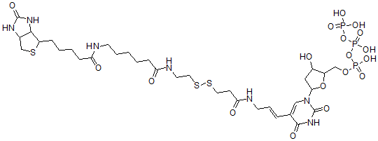 CAS#: 104142-46-3， [5-[2,4-Dioxo-5-[(E)-3-[3-[2-[6-[5-(2-Oxo-1,3,3A,4,6,6alpha-Hexahydrothieno[3,4-d]Imidazol-6-Yl)Pentanoylamino]Hexanoylamino]Ethyldisulfanyl]Propanoylamino]Prop-1-Enyl]Pyrimidin-1-Yl]-3-Hydroxyoxolan-2-Yl]Methyl (Hydroxy-Phosphonooxyphosphoryl) Hydrogen Phosphate