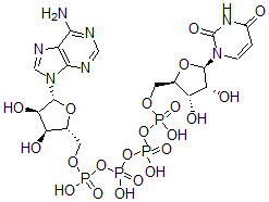 CAS#: 10527-48-7， Adenosine(5')Tetraphosphate Uridine