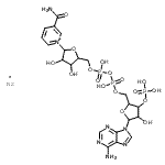 CAS#: 108392-03-6， alpha-Nicotinamide adenine dinucleotide phosphate sodium salt