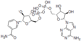 CAS#: 108646-17-9， (2S,3S,4S,5R)-5-[[[[(2R,3S,4R,5R)-5-(6-Aminopurin-9-Yl)-3,4-Dihydroxyoxolan-2-Yl]Methoxy-Hydroxyphosphoryl]Oxy-Hydroxyphosphoryl]Oxymethyl]-2-(3-Carbamoylpyridin-1-Ium-1-Yl)-4-Hydroxyoxolan-3-Olate