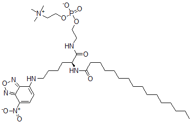CAS#: 109897-91-8， 2-[[(2S)-2-(Hexadecanoylamino)-6-[(4-Nitro-2,1,3-Benzoxadiazol-7-Yl)Amino]Hexanoyl]Amino]Ethyl 2-Trimethylazaniumylethyl Phosphate