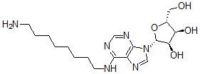 CAS#: 111863-56-0， (2R,3R,4S,5R)-2-[6-(8-Aminooctylamino)Purin-9-Yl]-5-(Hydroxymethyl)Oxolane-3,4-Diol