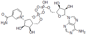 CAS#: 112345-60-5， Carbanicotinamide adenine dinucleotide