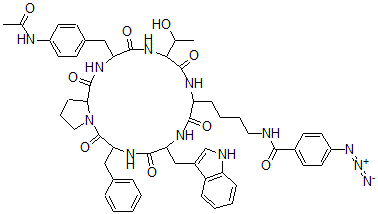 CAS#: 113400-63-8， Cyclo(phenylalanyl-(4-acetylamino)threonyl-lysyl-(4-azidobenzoyl)tryptophyl-phenylalanyl-prolyl)