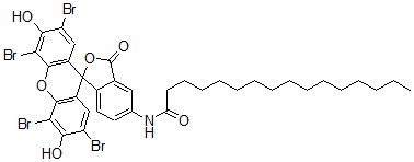 CAS#: 114586-25-3， 5-(N-Hexadecanoyl)Aminoeosin