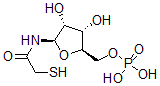 CAS 登录号：119619-78-2， 2-巯基-N-(5-O-膦酰-beta-D-呋喃核糖基)乙酰胺