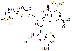 CAS#: 120218-67-9， 2',3'-O-(2,4,6-Trinitrophenyl) 8-azido-ATP