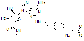 CAS#: 120225-64-1， Sodium 3-[4-[2-[[6-Amino-9-[(2R,3R,4S,5S)-5-(Ethylcarbamoyl)-3,4-Dihydroxyoxolan-2-Yl]Purin-2-Yl]Amino]Ethyl]Phenyl]Propanoate
