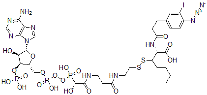 CAS#: 121368-75-0， N-(3-Iodo-4-Azidophenylpropionamido)Cysteinyl-5-(2'-Thiopyridyl)Cysteine-Coenzyme A