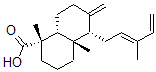 CAS 登录号:1231-35-2, 顺式-璎柏酸