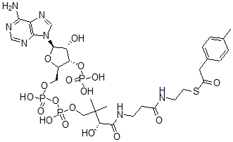 CAS#: 124924-92-1， 4-Tolylacetyl-coenzyme A