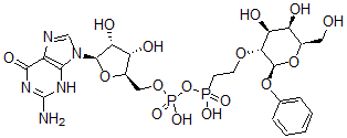 CAS#: 125224-13-7， Phenyl 2-O-(2-phosphonoethyl)galactopyranoside guanosine-5'-phosphate anhydride