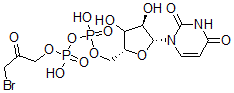 CAS#: 125303-05-1， Uridine 5'-Diphosphate Bromoacetol