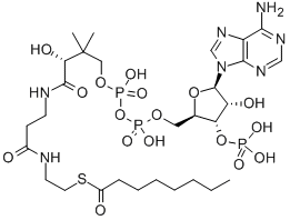 结构式 CAS# 1264-52-4, 辅酶 A S-辛酸酯