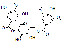 CAS#: 126485-47-0， [(2S,3R,4R,4aS,10bR)-3,4,8,10-Tetrahydroxy-9-Methoxy-6-Oxo-3,4,4a,10b-Tetrahydro-2H-Pyrano[5,6-c]Isochromen-2-Yl]Methyl 4-Hydroxy-3,5-Dimethoxybenzoate