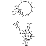 CAS#: 126602-89-9， N-{(6S,9S,10R,13S,18R,22S,24aS)-18-{[(3S)-1-Azabicyclo[2.2.2]Oct-3-Ylsulfanyl]Methyl}-22-[4-(Dimethylamino)Benzyl]-6-Ethyl-10,23-Dimethyl-5,8,12,15,17,21,24-Heptaoxo-13-Phenyldocosahydro-12H-Pyrido[2, 1-F]Pyrrolo[2,1-L][1,4,7,10,13,16]Oxapentaazacyclononadecin-9-Yl}-3-Hydroxy-2-Pyridinecarboxamide - (6R,7S,10R,11R,12Z,17Z,19Z,21S)-6-{[2-(Diethylamino)Ethyl]Sulfonyl}-21-Hydroxy-10-Isopropyl-11,19-Di Methyl-9,26-Dioxa-3,15,28-Triazatricyclo[23.2.1.0<Sup>3,7</Sup>]Octacosa-1(27),12,17,19,25(28)-Pentaene-2,8,14,23-Tetrone (1:1)