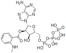 CAS#: 130799-34-7， [(2R,3R,4R,5R)-2-(6-Aminopurin-9-Yl)-4-Hydroxy-5-[[Hydroxy-(Hydroxy-Phosphonooxyphosphoryl)Oxyphosphoryl]Oxymethyl]Oxolan-3-Yl] 2-Methylaminobenzoate