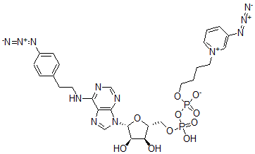 CAS#: 132210-01-6， [[(2R,3S,4R,5R)-5-[6-[2-(4-Azidophenyl)Ethylamino]Purin-9-Yl]-3,4-Dihydroxyoxolan-2-Yl]Methoxy-Hydroxyphosphoryl] 4-(3-Azidopyridin-1-Ium-1-Yl)Butyl Phosphate