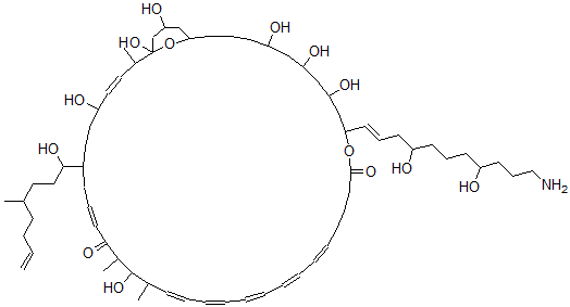 CAS#: 134965-82-5， 31-[(E)-11-Amino-4,8-Dihydroxyundec-1-Enyl]-1,5,14,33,35,37,43-Heptahydroxy-8-(1-Hydroxy-4-Methyloct-7-Enyl)-2,13,15-Trimethyl-30,45-Dioxabicyclo[39.3.1]Pentatetraconta-3,10,16,18,20,22,24-Heptaene-12,29-Dione