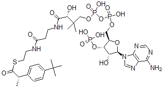 CAS#: 135027-64-4， Ibuprofenyl-coenzyme A