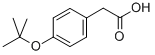 CAS#: 135066-21-6， 4-(1,1-Dimethylethoxy)-Benzeneacetic Acid
