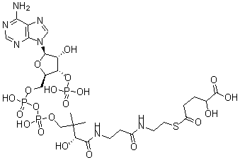 CAS#: 137374-53-9， (R)-Coenzyme A-S-[1-Hydrogen 2-Hydroxypentanedioate]