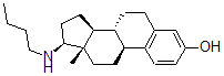 CAS#: 137539-90-3， (8R,9S,13S,14S,17S)-17-Butylamino-13-Methyl-6,7,8,9,11,12,14,15,16,17-Decahydrocyclopenta[a]Phenanthren-3-Ol