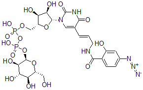 CAS#: 137731-71-6， [(2R,3S,4R,5R)-5-[5-[(E)-3-[(4-Azido-2-Hydroxybenzoyl)Amino]Prop-1-Enyl]-2,4-Dioxopyrimidin-1-Yl]-3,4-Dihydroxyoxolan-2-Yl]Methyl [Hydroxy-[(2R,3R,4S,5S,6R)-3,4,5-Trihydroxy-6-(Hydroxymethyl)Oxan-2-Yl]Oxyphosphoryl] Hydrogen Phosphate