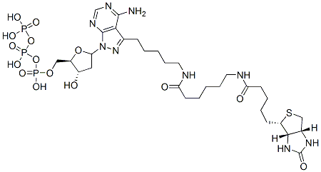 CAS#: 137823-47-3， 3-(5-((N-Biotinyl-6-aminocaproyl)amino)pentyl)-1-(2-deoxyerythropentofuranosyl)-1H-pyrazolo(3,4-d)pyrimidin-4-amine-5'-triphosphate