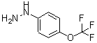 结构式 CAS# 13957-54-5, [4-(三氟甲氧基)苯基]肼