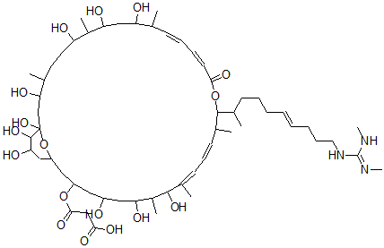 CAS#: 143906-45-0， 3-[[(13E,15Z,21E,23E)-19-[(E)-10-[(N,N'-Dimethylcarbamimidoyl)Amino]Dec-6-En-2-Yl]-1,3,7,9,11,25,27,29,35,36-Decahydroxy-4,8,12,20,24,26-Hexamethyl-17-Oxo-18,37-Dioxabicyclo[31.3.1]Heptatriaconta-13,15,21,23-Tetraen-31-Yl]Oxy]-3-Oxopropanoic Acid
