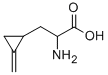 CAS#: 156-56-9， (2S)-2-Amino-3-[(1S)-2-Methylidenecyclopropyl]Propanoic Acid