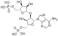 CAS#: 15720-01-1， 2'-(5''-Phosphoribosyl)-5'-Adenosine Monophosphate