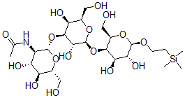 CAS#: 157553-90-7， N-[(2S,3R,4R,5S,6R)-2-[(2S,3R,4S,5S,6R)-2-[(2R,3R,4R,5R,6R)-4,5-Dihydroxy-2-(Hydroxymethyl)-6-(2-Trimethylsilylethoxy)Oxan-3-Yl]Oxy-3,5-Dihydroxy-6-(Hydroxymethyl)Oxan-4-Yl]Oxy-4,5-Dihydroxy-6-(Hydroxymethyl)Oxan-3-Yl]Acetamide
