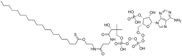 CAS#: 15895-27-9， (C20:0) Coenzyme A