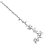 CAS#: 188174-63-2， Arachidonoyl Coenzyme A (C20:4) Lithium Salt