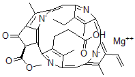 CAS#: 20369-67-9， Protochlorophyllide