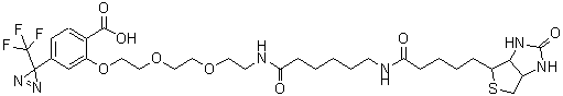 CAS#: 207971-23-1， 2-{[10,17-Dioxo-21-(2-oxohexahydro-1H-thieno[3,4-d]imidazol-4-yl)-3,6-dioxa-9,16-diazahenicos-1-yl]oxy}-4-[3-(trifluoromethyl)-3H-diaziren-3-yl]benzoic acid