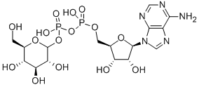 CAS 登录号:2140-58-1, 腺苷焦磷酸酯-葡萄糖