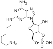 CAS#: 214276-80-9， 2-[(6-Aminohexyl)Amino]-Adenosine Cyclic 3',5'-(Hydrogen Phosphate)