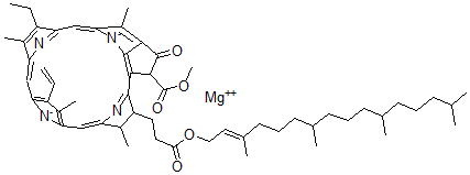 CAS#: 22309-13-3， Chlorophyll A'