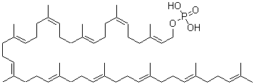 CAS#: 25126-51-6， Undecaprenyl Phosphate