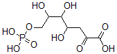 CAS 登录号：2627-73-8， 4,5,6-三羟基-2-氧代-7-膦酰氧基庚酸