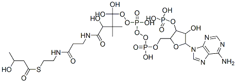 CAS 登录号：2871-66-1， beta-羟基丁酰基-辅酶 A
