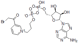 CAS#: 29486-87-1， Adenosine 5'-(trihydrogen diphosphate), P'-[3-[3-(bromoacetyl)pyridinio]propyl] ester,inner salt