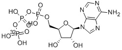 CAS#: 2964-07-0， Adenosine 5'-triphosphate-gamma-32P